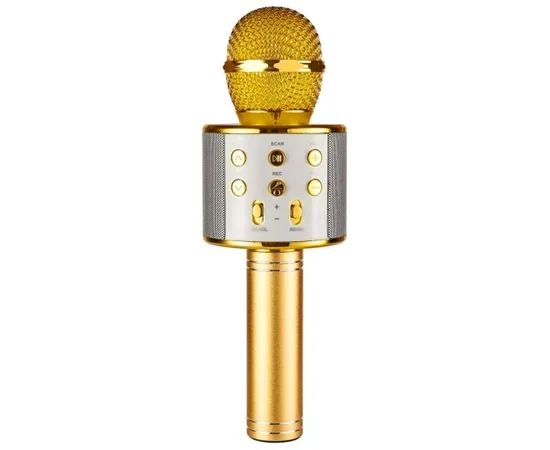 Караоке Мікрофон-колонка WS858 Gold