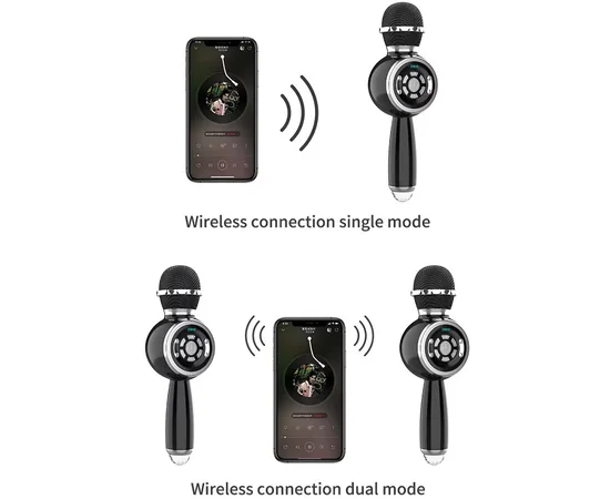 Караоке Микрофон-колонка DS810 Black