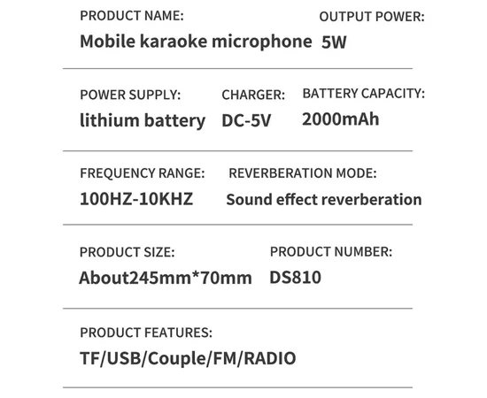 Караоке Микрофон-колонка DS810 Gold