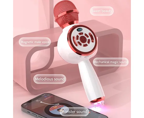 Караоке Мікрофон-колонка DS810 Pink