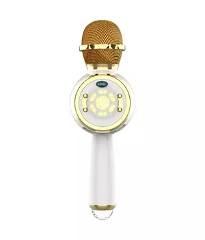 Караоке Микрофон-колонка DS810 Gold