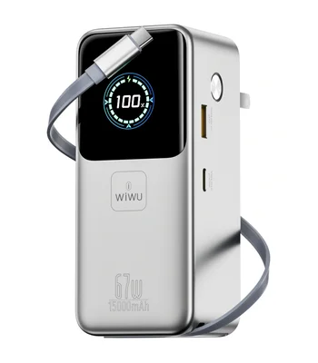 Портативне ЗУ Power Bank WIWU PM501 Power Mega PD67W with cable 15000 mAh Silver