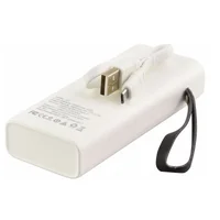 Портативное зарядное устройство Power Bank Hoco J41 "Treasure" 10000 mAh Белый