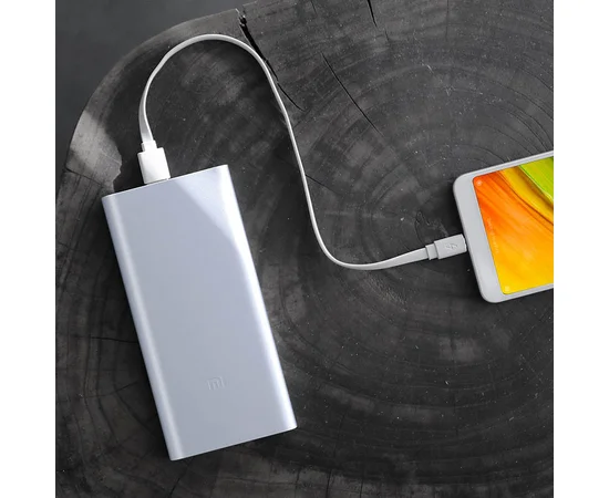 Портативное зарядное устройство Xiaomi Mi Power Bank 2S 10000mAh (VXN4229CN / PLM09ZM) Серебряный