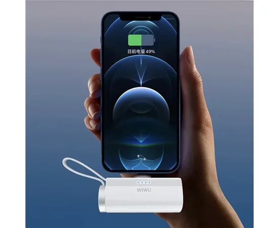 Портативне ЗУ Power Bank WIWU W026 Type-C з БЗУ 15W 5000 mAh White