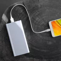 Портативное зарядное устройство Xiaomi Mi Power Bank 2S 10000mAh (VXN4229CN / PLM09ZM) Серебряный