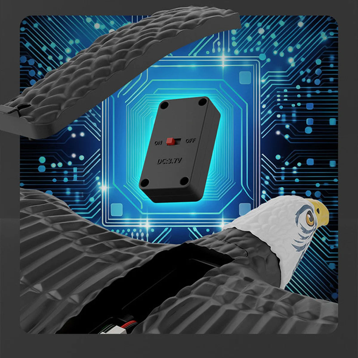 Самолет-птица на радиоуправлении SCHE HW40 Eagle Black