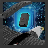 Самолет-птица на радиоуправлении SCHE HW40 Eagle Black