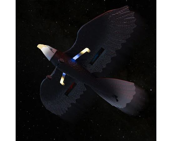 Самолет-птица на радиоуправлении SCHE HW40 Eagle Black