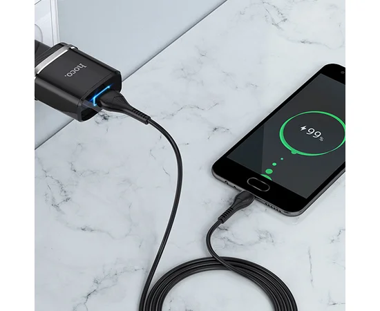 СЗУ Hoco N1 Ardent 1USB-A + USB to MicroUSB Black