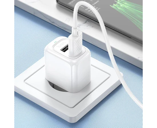 СЗУ Hoco CS51A Surplus (2USB-A) + MicroUSB White