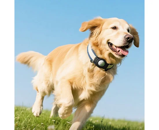 Трекер Hoco E91C Tiger для ошейника 230 mAh White