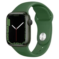 Ремешок Hoco WA01 Flexible series Apple watch (38/40/41mm) Alfalfa