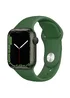 Ремінець Hoco WA01 Flexible series Apple watch (38/40/41mm) Alfalfa