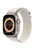 Ремешок Alpine Loop для Apple Watch 42(ser.1-3)/44/45/46/49mm (m/l) Серый / Starlight