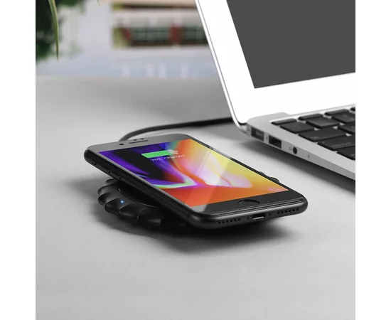 БЗУ Hoco CW13 2A Черный