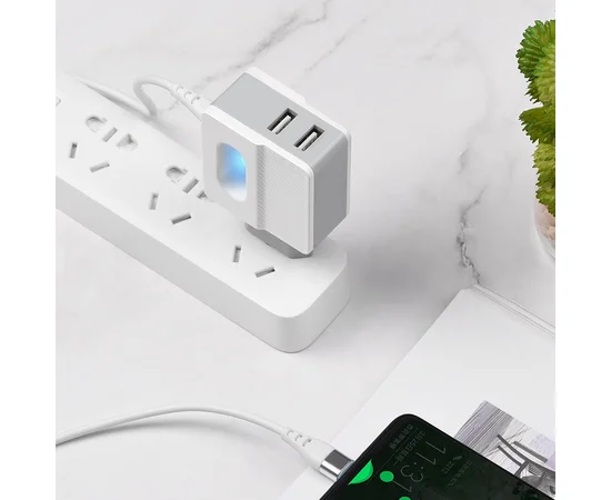 СЗУ Hoco C75 (2USB/2.4A) +Type-C Белый