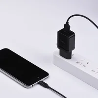 СЗУ Hoco C22A USB Charger 2.4A (+ кабель Lightning) Черный
