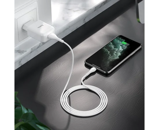 СЗУ HOCO N2 (1USB/2.1A) + USB - Lightning Белый