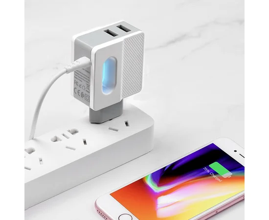 СЗУ Hoco C75 (2USB/2.4A) +lightning Белый
