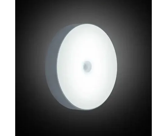 Сенсорный светильник LED с датчиком движения MZ-L803 White light