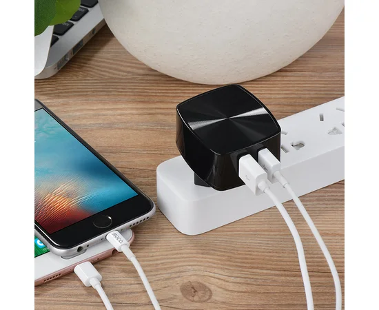 СЗУ Hoco C26A Mighty (2USB/2.4A) Черный