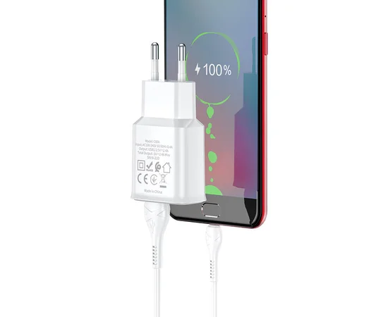 СЗУ HOCO C88A (2USB/2.4A) + Type-C Белый