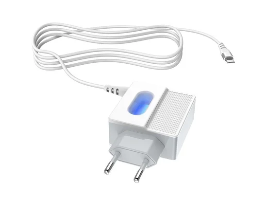 СЗУ Hoco C75 (2USB/2.4A) +lightning Белый