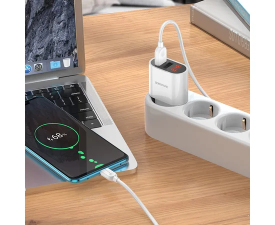 СЗУ Borofone BA63A Richy + Type-C Белый