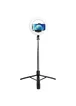 Монопод с кольцевой LED лампой Usams US-ZB241 Portable LED Ring Light With Tripod (Max 1.68m) Black