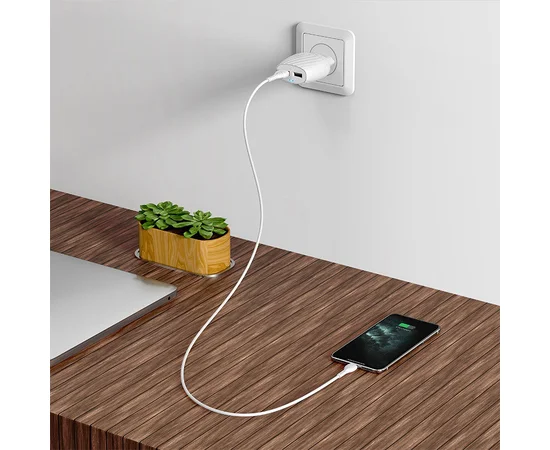 СЗУ Hoco C78A (2USB/2.4A) + Lightning Белый