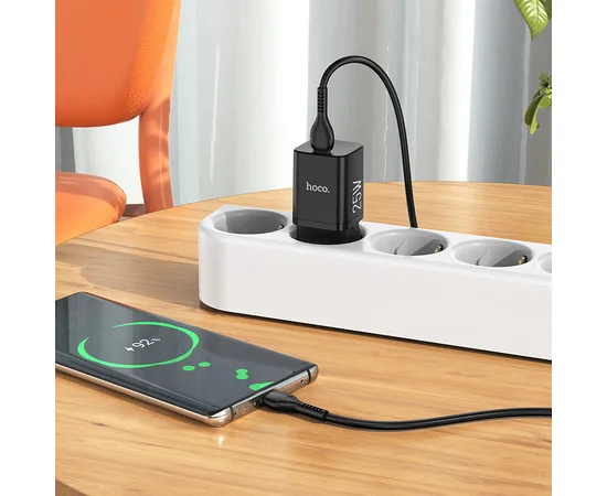 СЗУ HOCO N19 Rigorous PD25W 1Type-C + cable Type-C to Type-C Черный