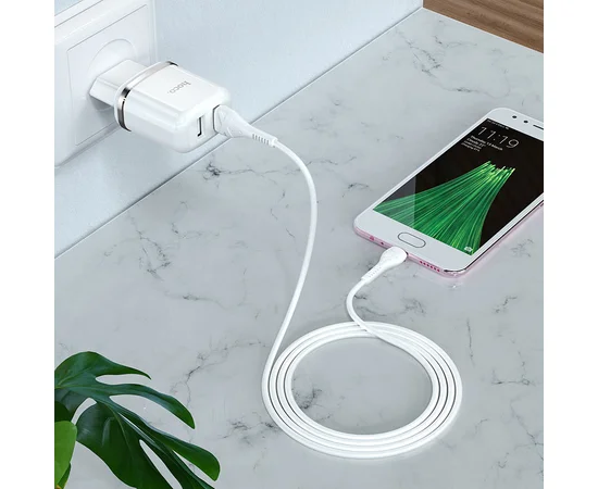 СЗУ Hoco N4 (2USB/2.4A) + MicroUSB Белый