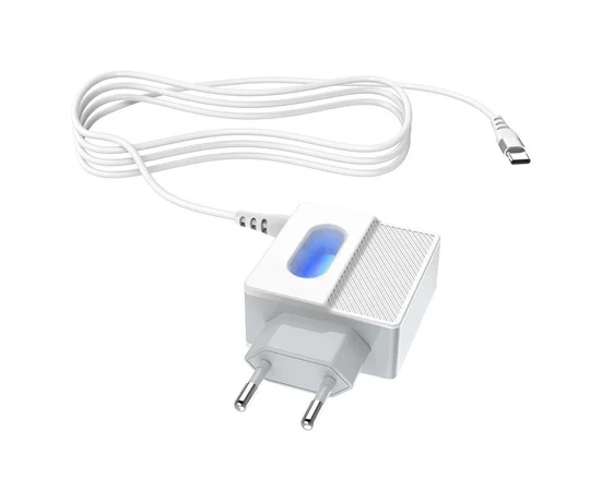 СЗУ Hoco C75 (2USB/2.4A) +Type-C Белый