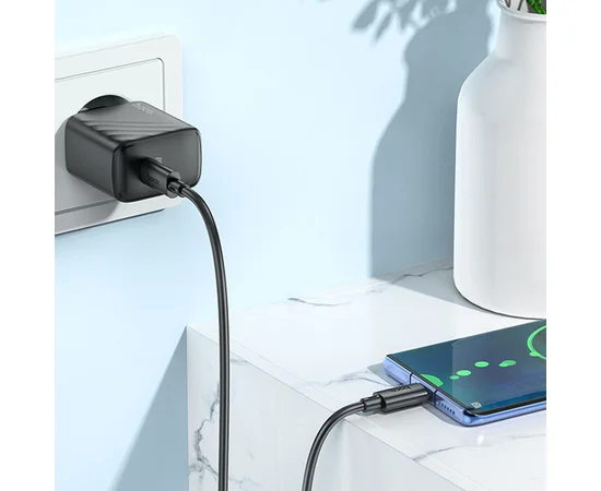 СЗУ Hoco CS22A Value PD30W + Type-C to Type-C Black