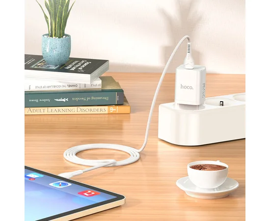 СЗУ HOCO N19 Rigorous PD25W 1Type-C + cable Type-C to Type-C Белый