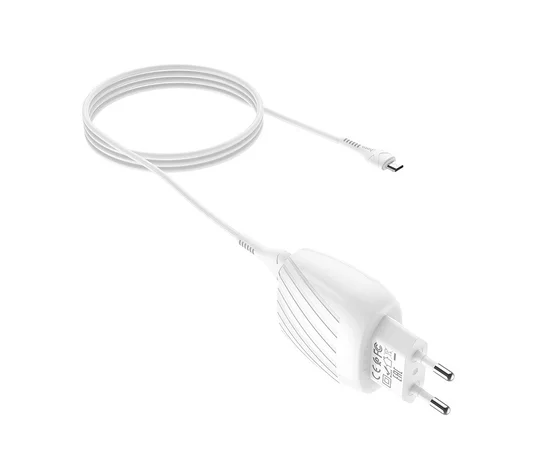 СЗУ Hoco C78A (2USB/2.4A) + microUSB Белый