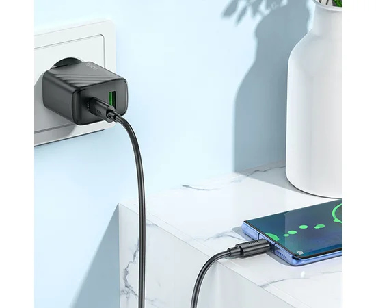 СЗУ Hoco CS23A Sunlight PD30W+QC3.0 + Type-C to Type-C Black