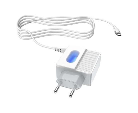 СЗУ Hoco C75 (2USB/2.4A) +microUSB Белый