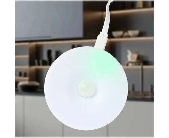 Сенсорний світильник LED з датчиком руху 2 кольоровий світильник MZ-L803 White