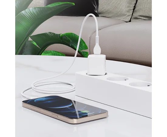 СЗУ HOCO N10 Starter single port PD 20W + Type-C to Lightning Белый