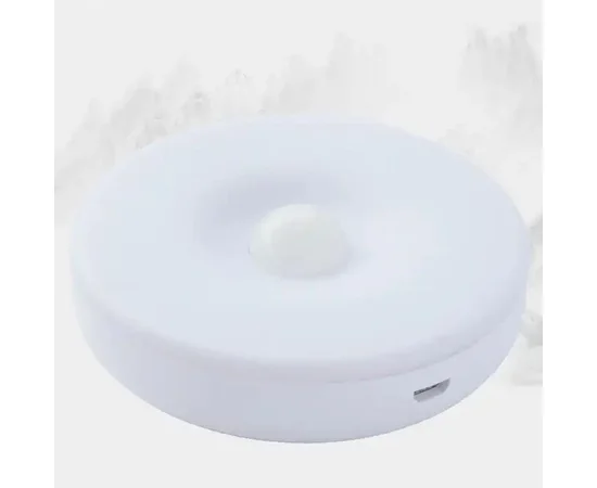 Сенсорный светильник LED с датчиком движения 2 colour light MZ-L803 White