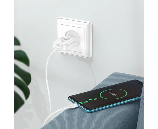 СЗУ Borofone BA64A Single port + Type-C Белый