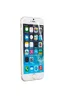 Передняя защитная пленка для iPhone 6/6S